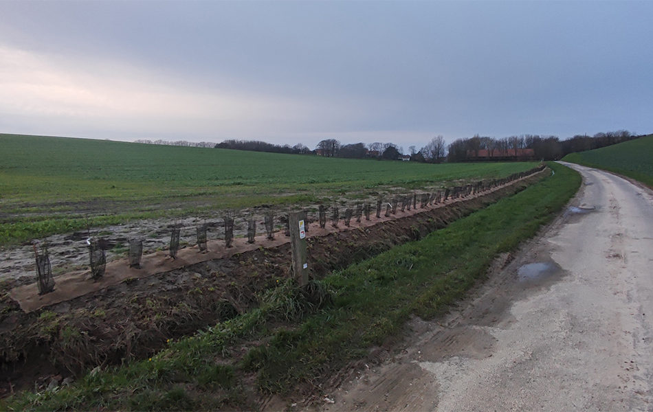 Lancement de la campagne de plantation sur le territoire