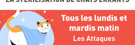 Opérations de stérilisation de chats errants sur la commune de Les Attaques