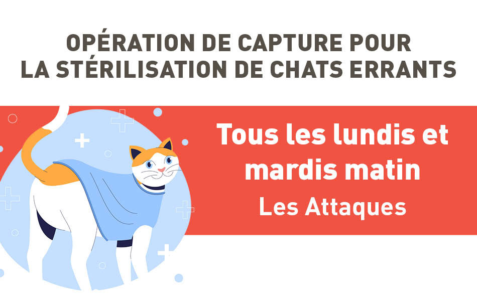 Opérations de stérilisation de chats errants sur la commune de Les Attaques